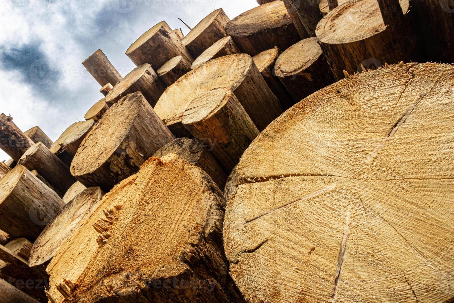a pile of logs stacked up against a cloudy sky photo
