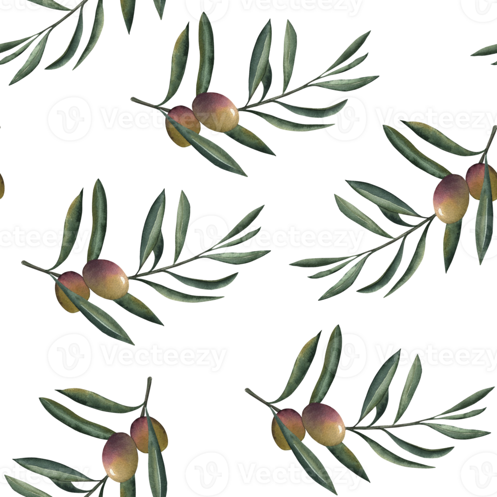 Seamless watercolor pattern with olive branches, green and purple olives and leaves. The illustration is hand-drawn in a botanical Mediterranean style for packaging design, fabrics, kitchen decoration png