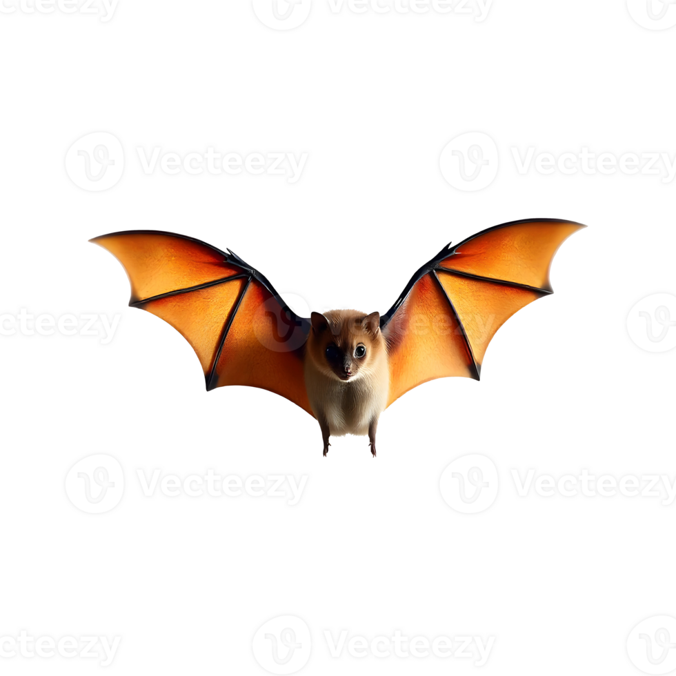 bat flying on transparent background png