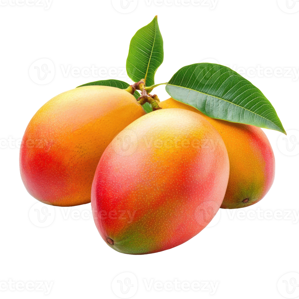 Delicious mango fruits png