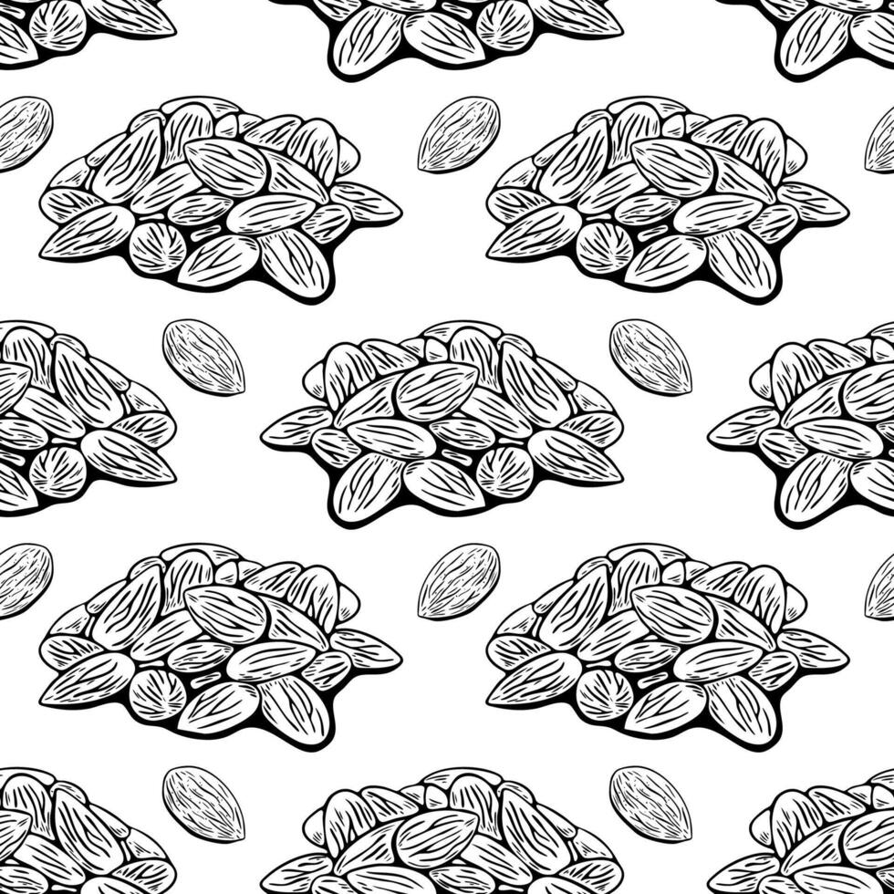 Almond pile seamless pattern in line art style vector