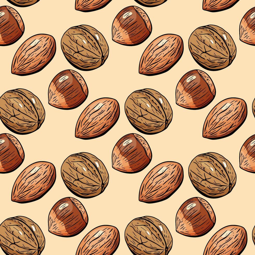 Realistic nut seamless pattern with almond and walnut vector
