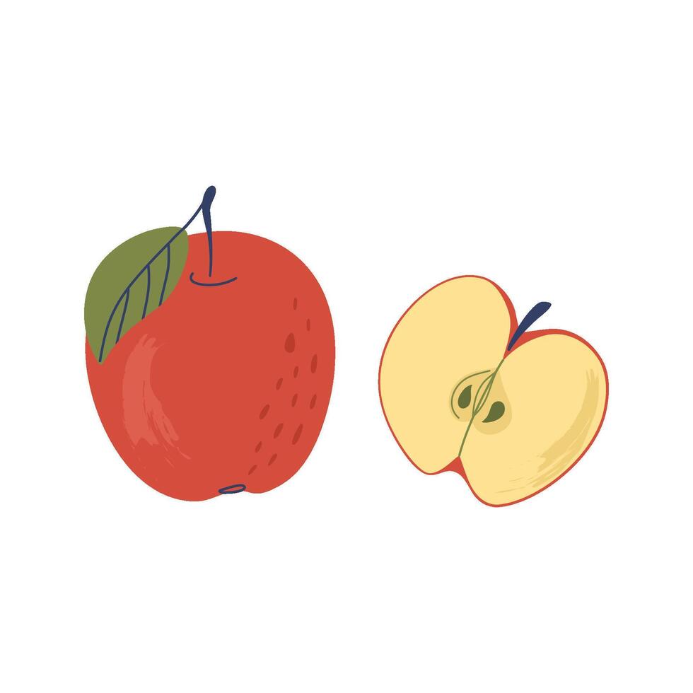 Red apple with leaf and sliced apple. Delicious ripe fruit. Hand drawn flat design illustration. vector