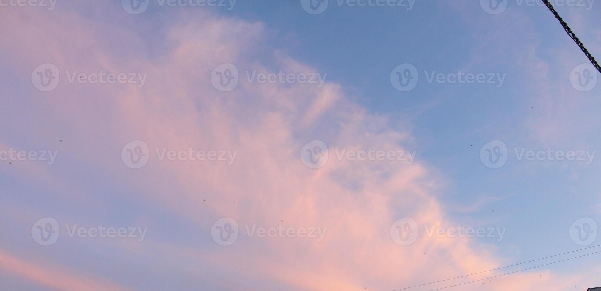 Cumulus clouds are pink out of focus on a pink blue sky. Background of clouds. Dreamy atmosphere. photo
