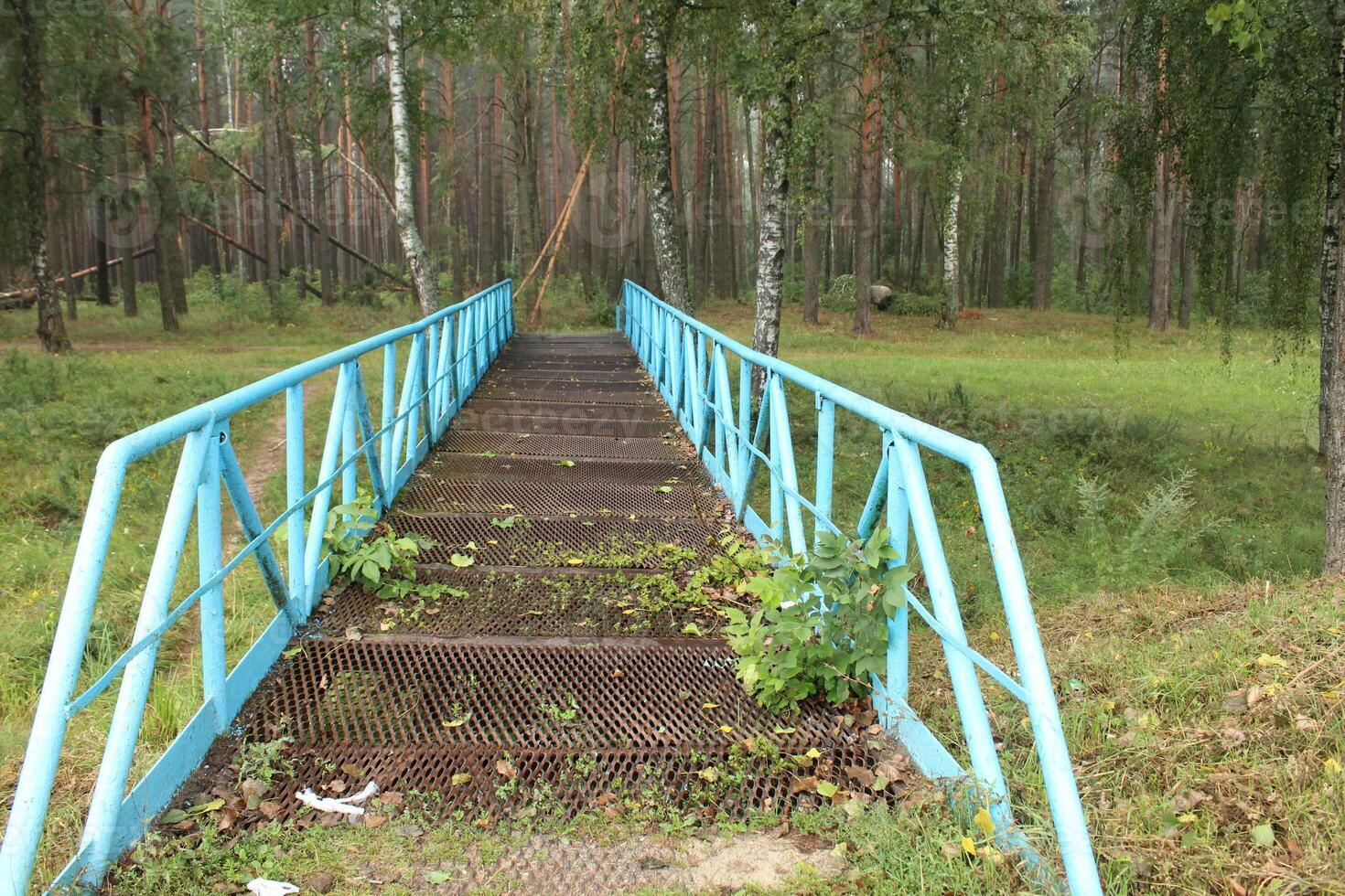 An old metal bridge leading to the forest. Forest near the city photo
