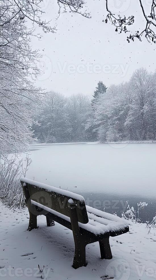 Snowy Landscape with Bench and Frozen Lake - Winter Wonderland photo