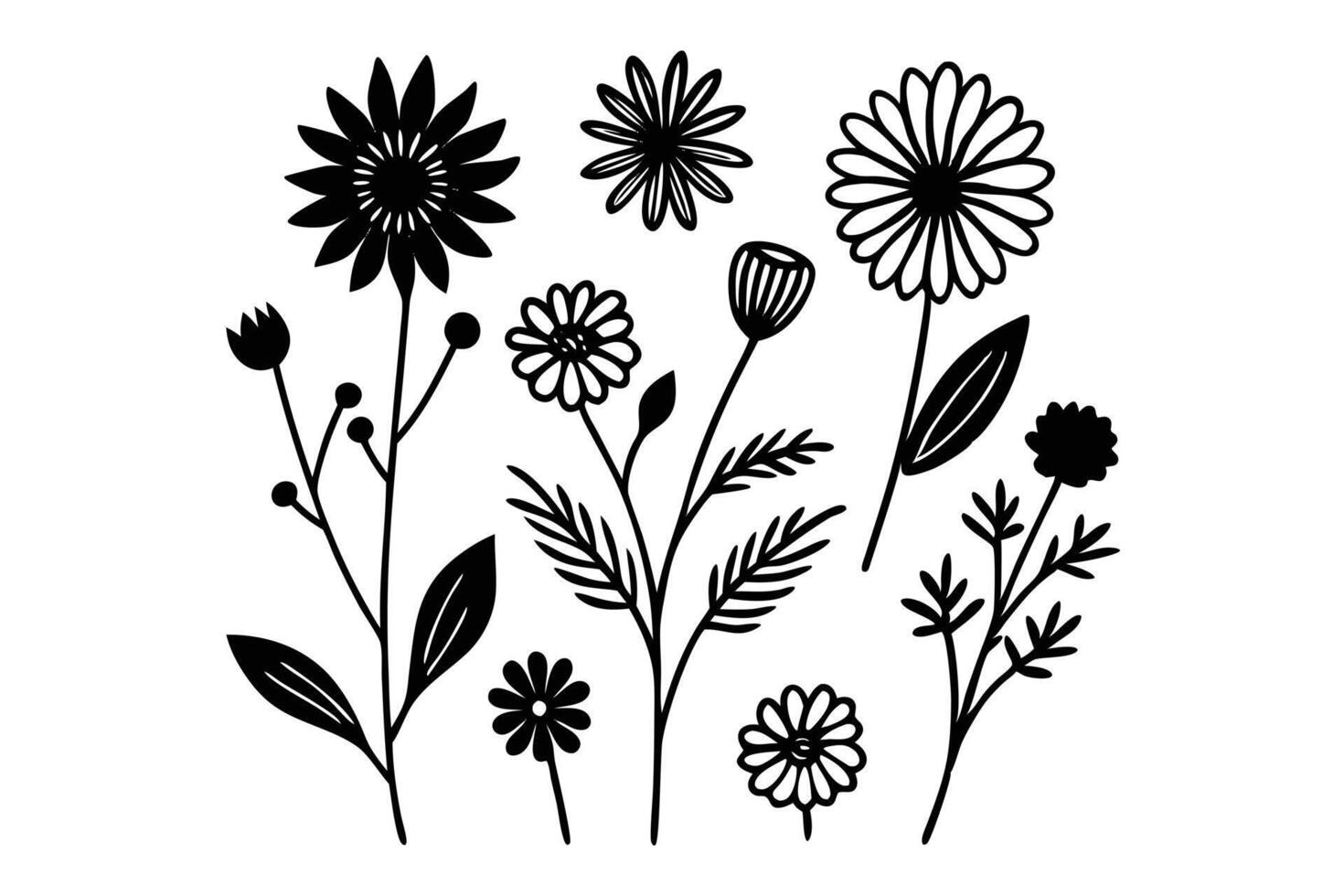 Black Flower Silhouettes Illustration, Botanical Elements vector