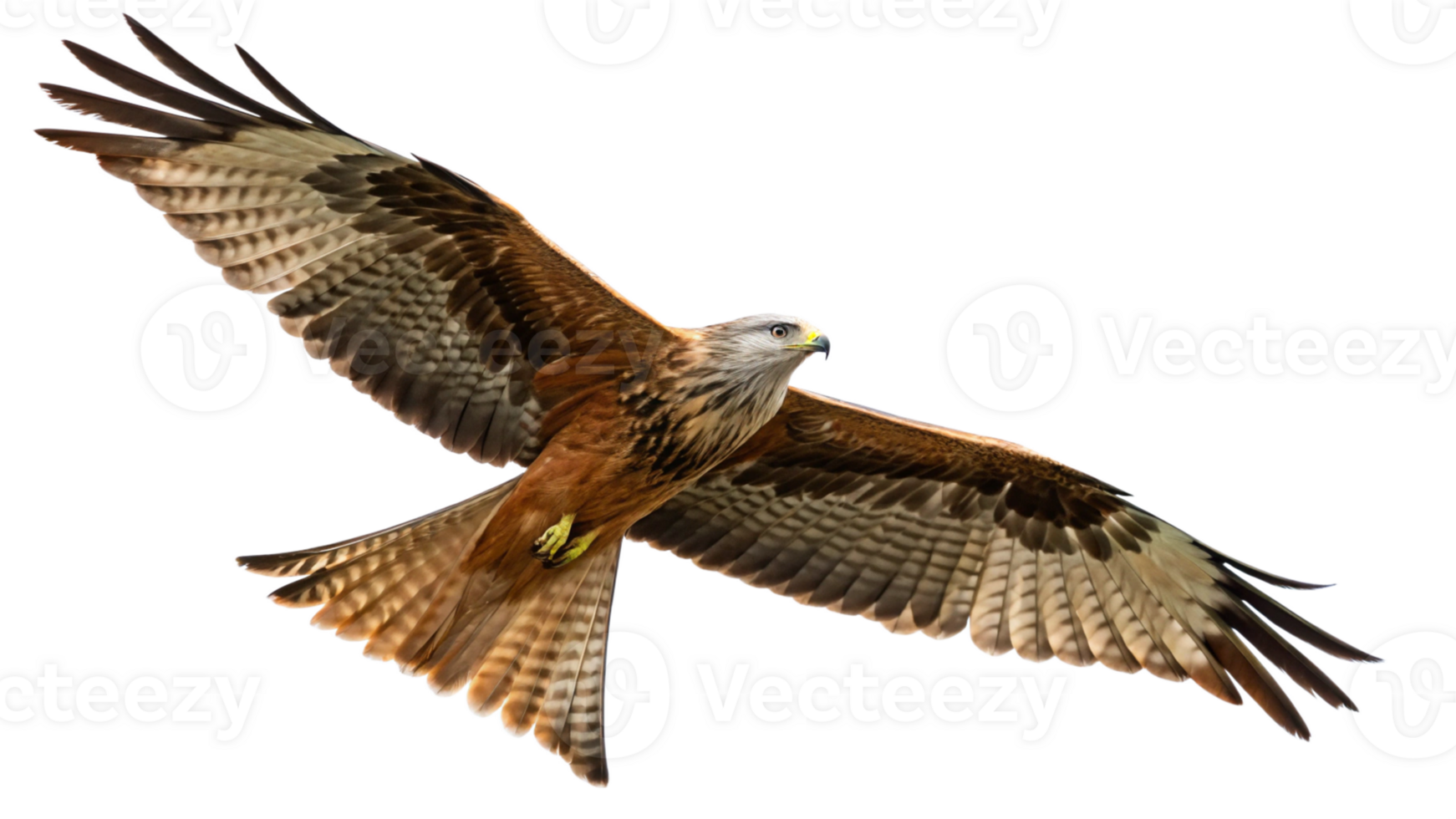 Red kite flying in the air png