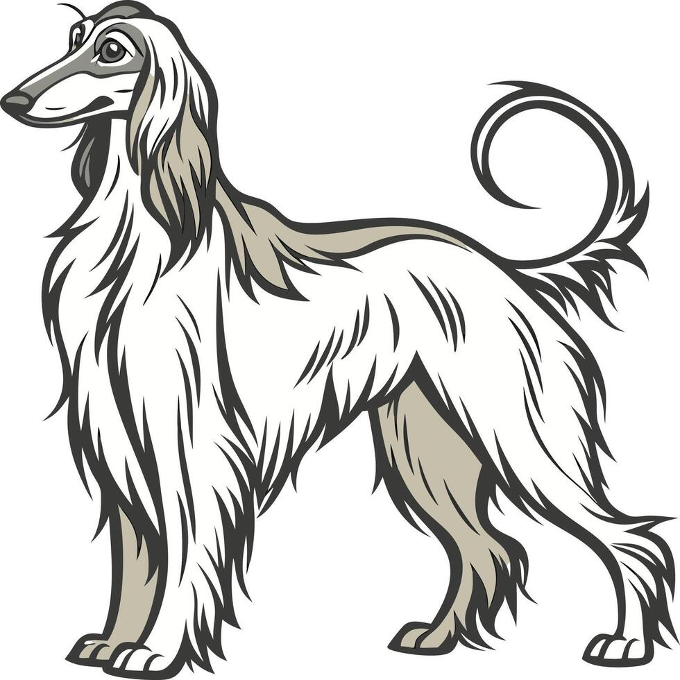 Classic Afghan Hound Coat Style Available on EPS File vector