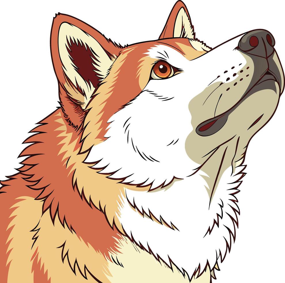 Akita Dog Available on EPS File vector