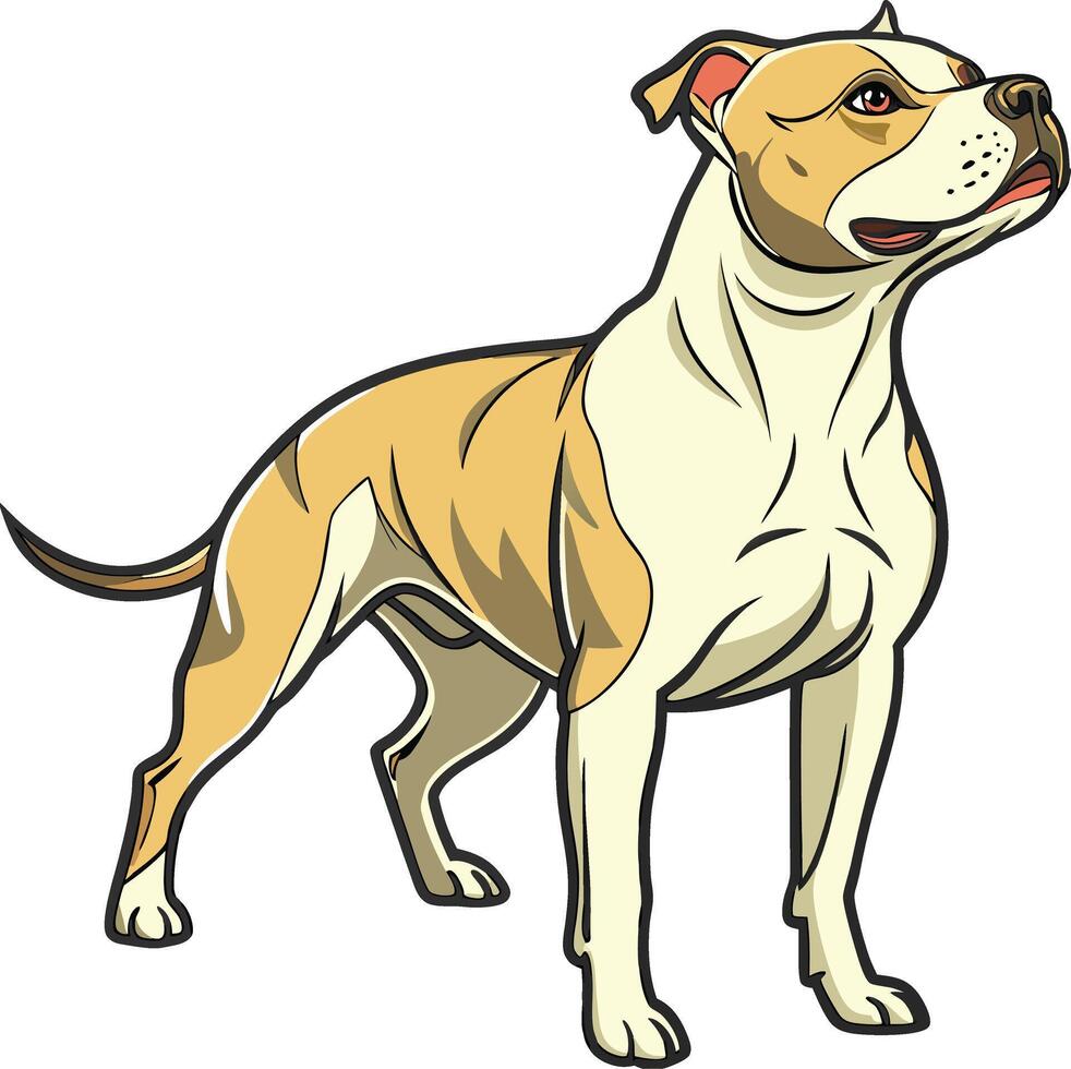 Athletic American Staffordshire Terrier in Motion Available on EPS File vector
