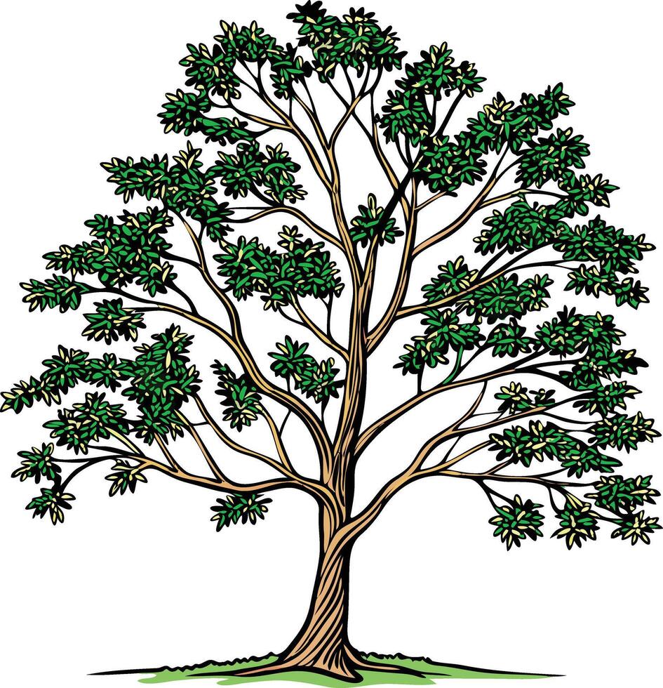 Bare Ash Tree in Winter Silence Available on EPS File vector