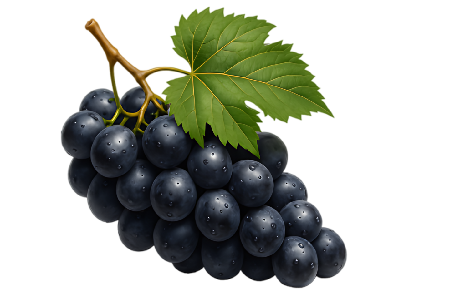 Juicy Black Grapes Fresh Fruit Image for Food and Drink png