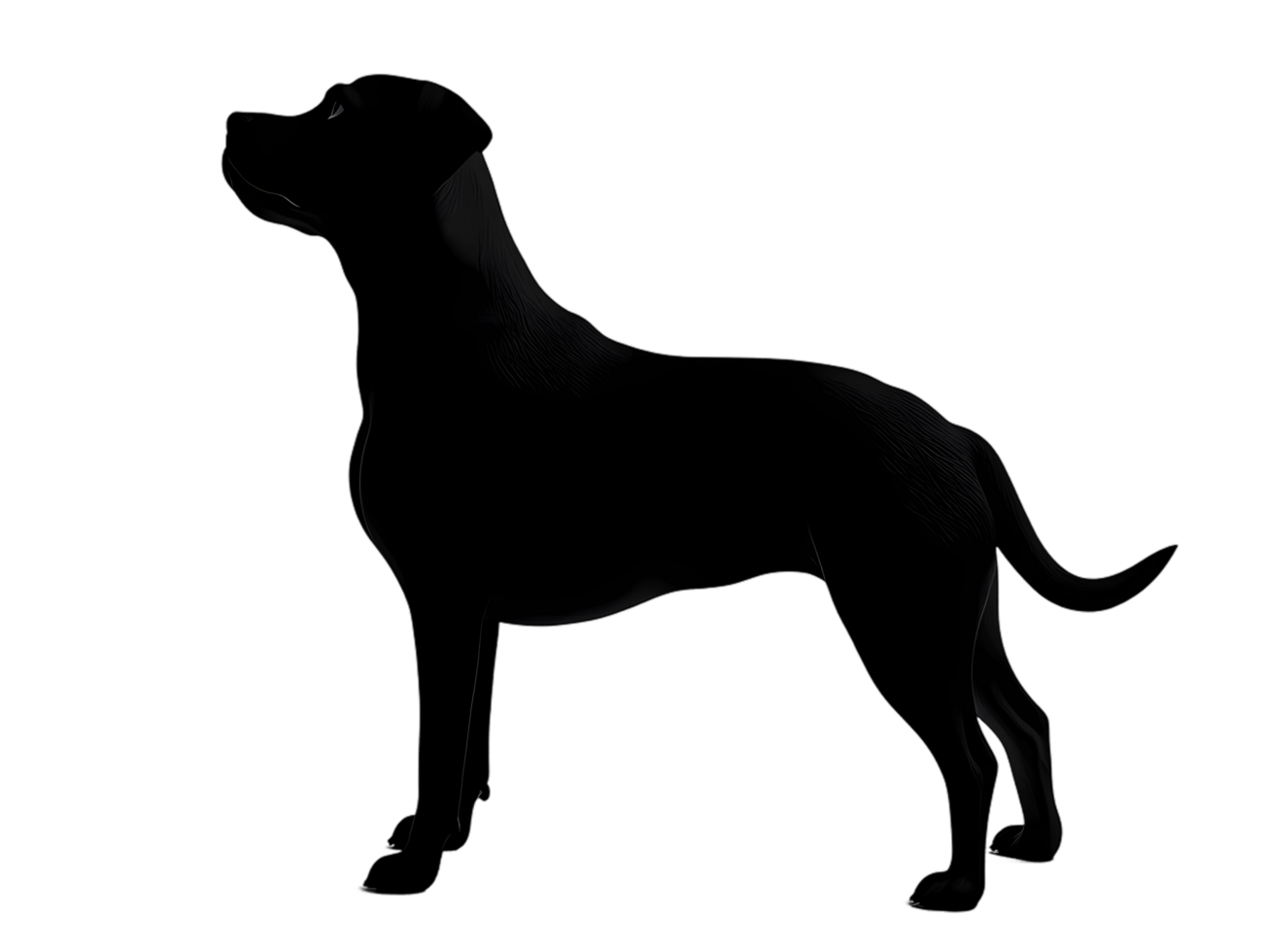 black dog silhouette on transparent background png