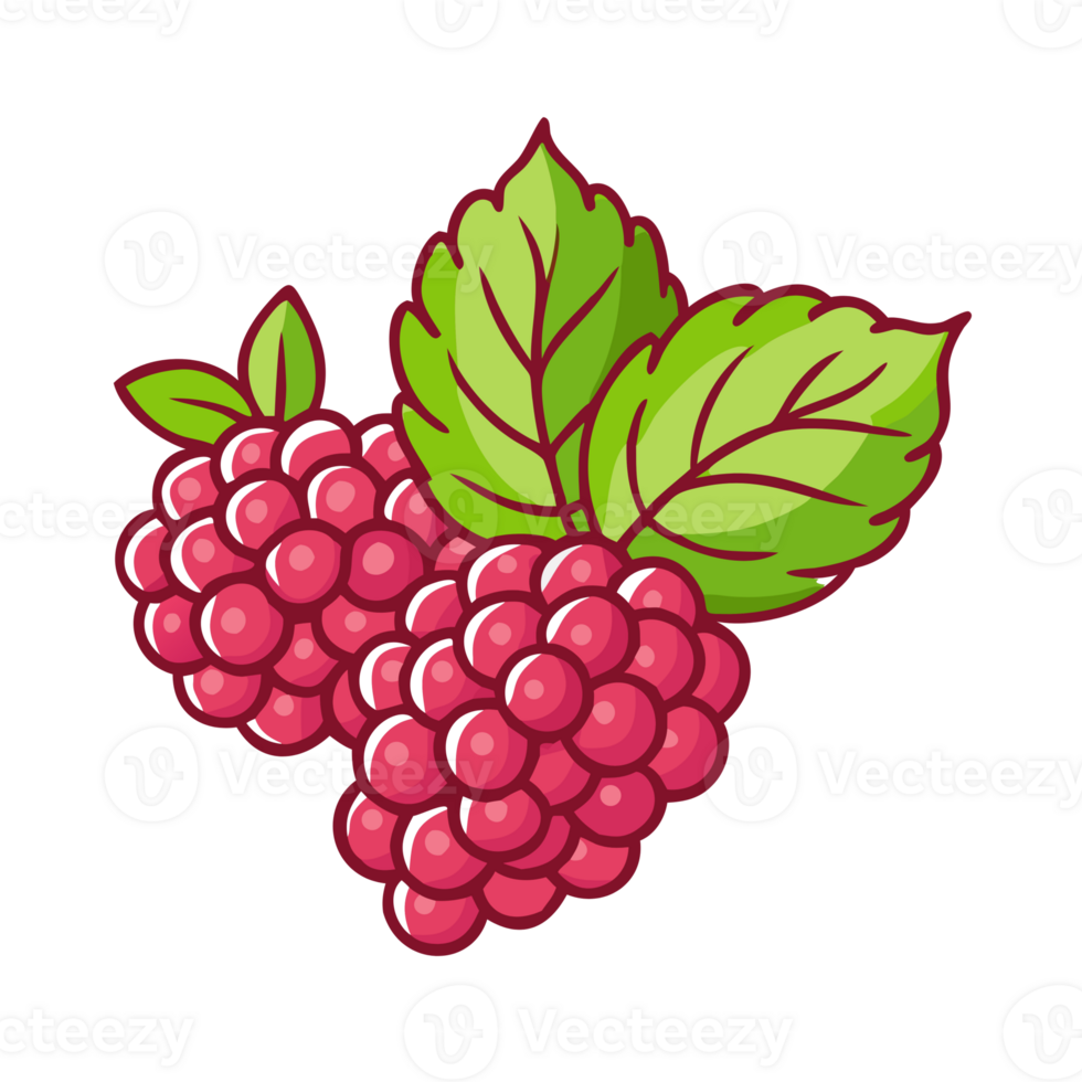 Raspberry fruit icon png
