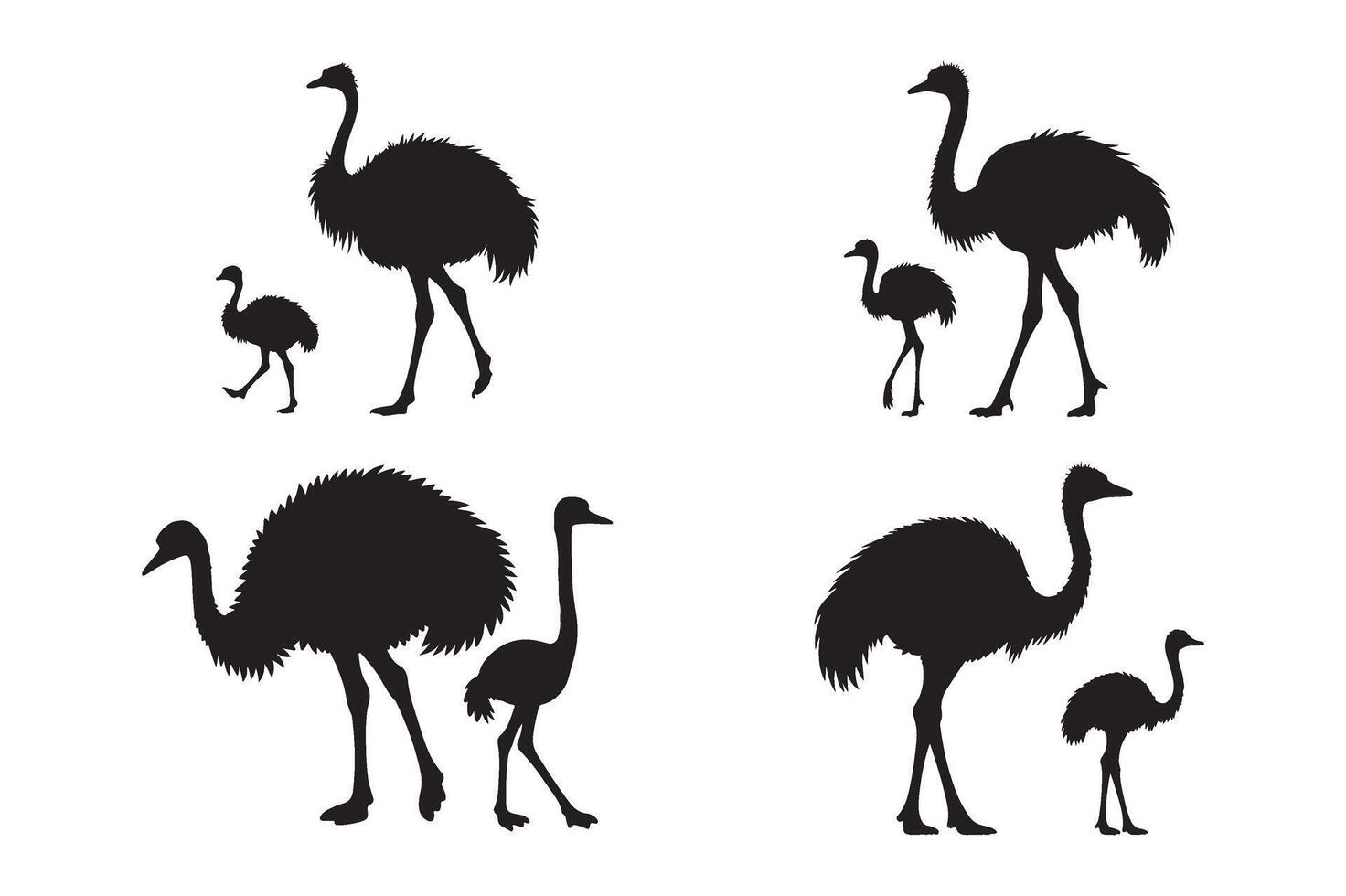 Ostrich with Baby Set Silhouette Illustration Isolated on White Background vector
