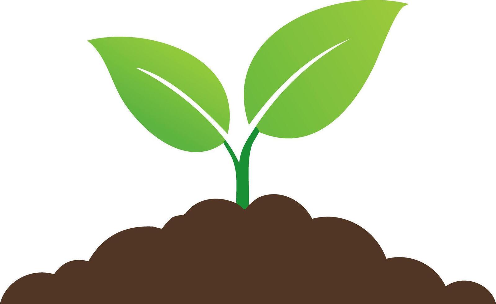 A small green plant with fresh leaves sprouting from rich soil in a natural outdoor setting, symbolizing growth, life, and sustainability. vector