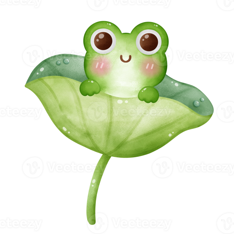 Small adorable frog sitting on a lotus leaf png