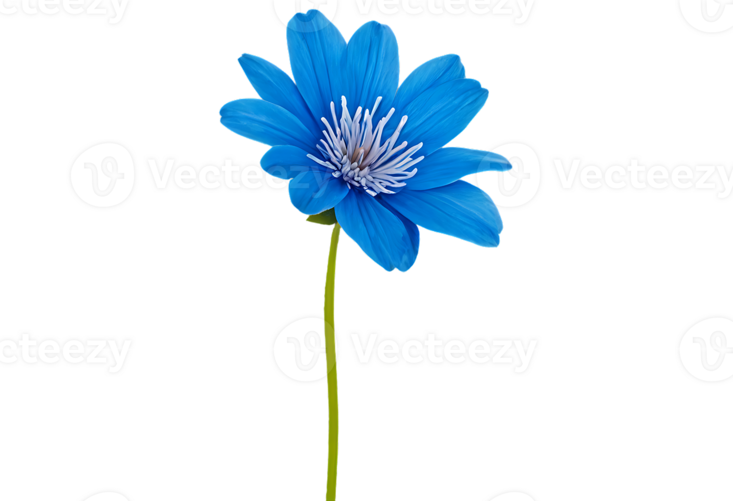 Blue flower on transparent background png