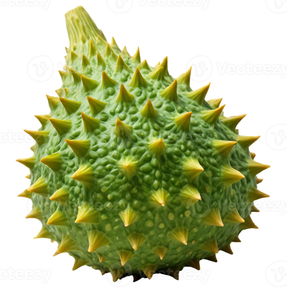 A close up of a green fruit with spikes png