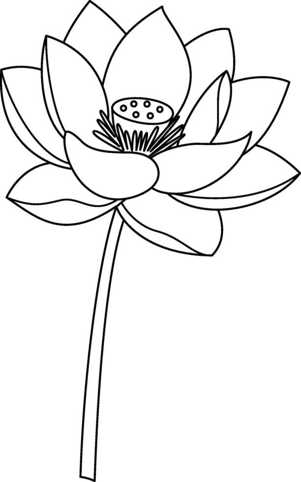 DetailedLotus Flower Outline vector