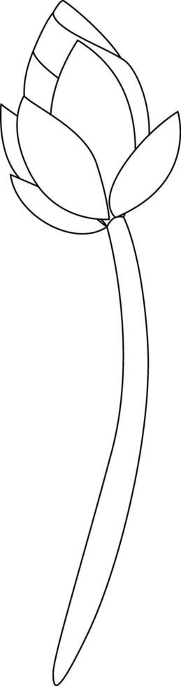 Lotus bud outline Drawing vector
