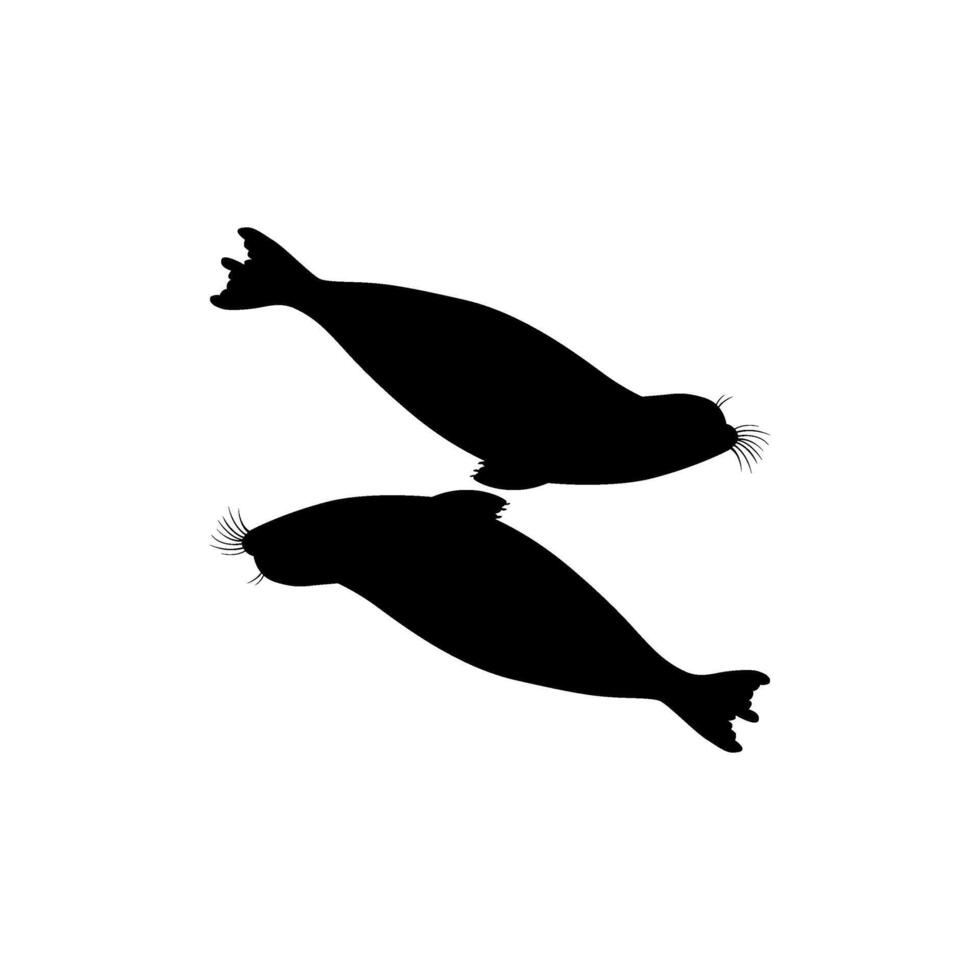 Silhouette or the Pair Pinnipeds or Seals, can use for Logo, Pictogram, Aquatic Animal, Poster, etc. vector