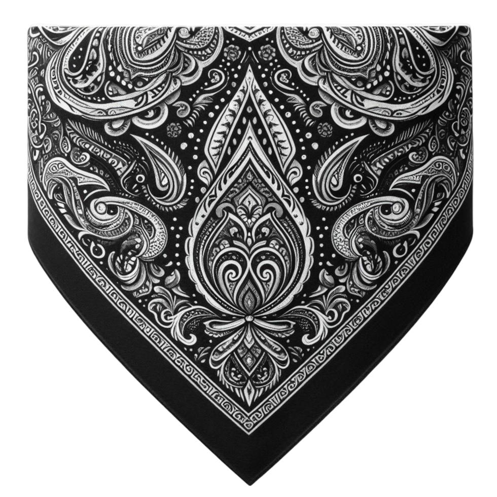 Black and White Classic Paisley Bandana png