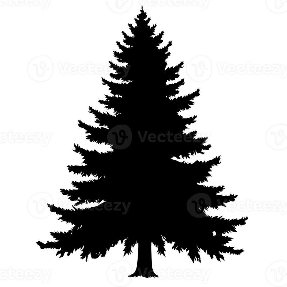 A silhouette of tall evergreen tree stands against plain background, showcasing its symmetrical branches and pointed top. image evokes sense of calm and nature beauty png