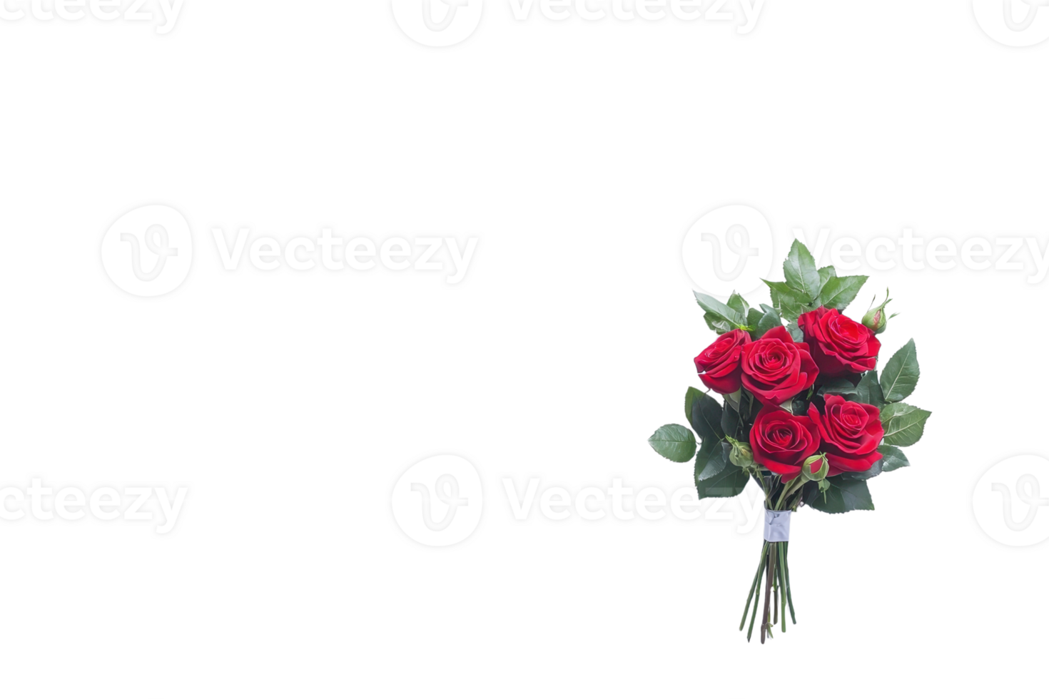 A bouquet of vibrant red roses with lush green leaves is elegantly arranged, creating striking contrast against plain background. fresh flowers exude romance and beauty png
