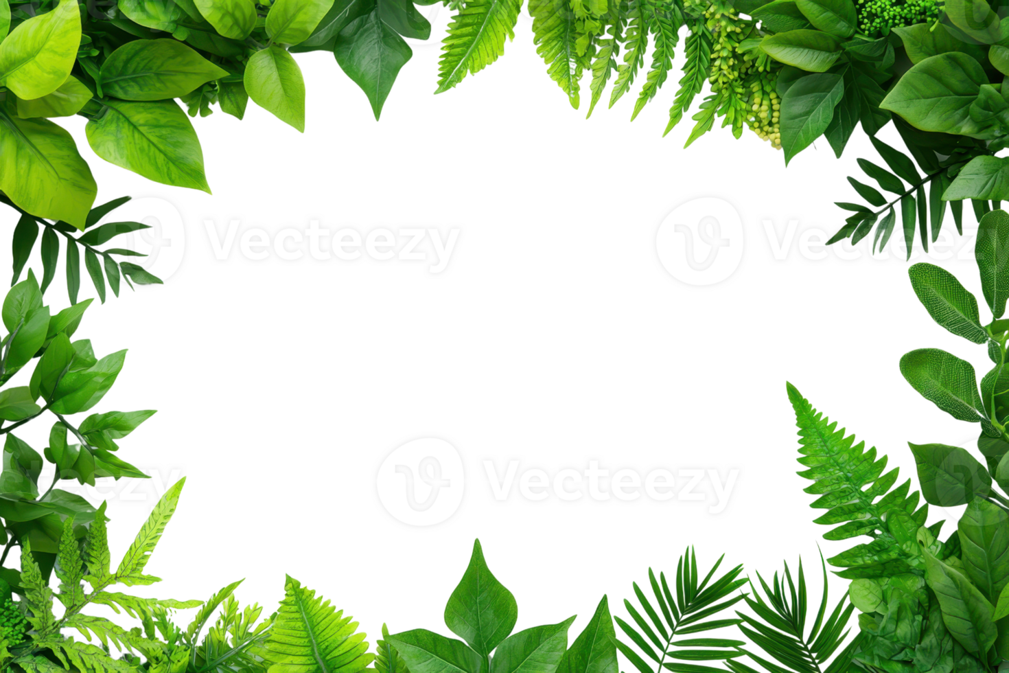 A vibrant frame of lush green leaves and ferns creates natural border, perfect for highlighting content with fresh and organic feel. rich foliage adds touch of nature beauty png