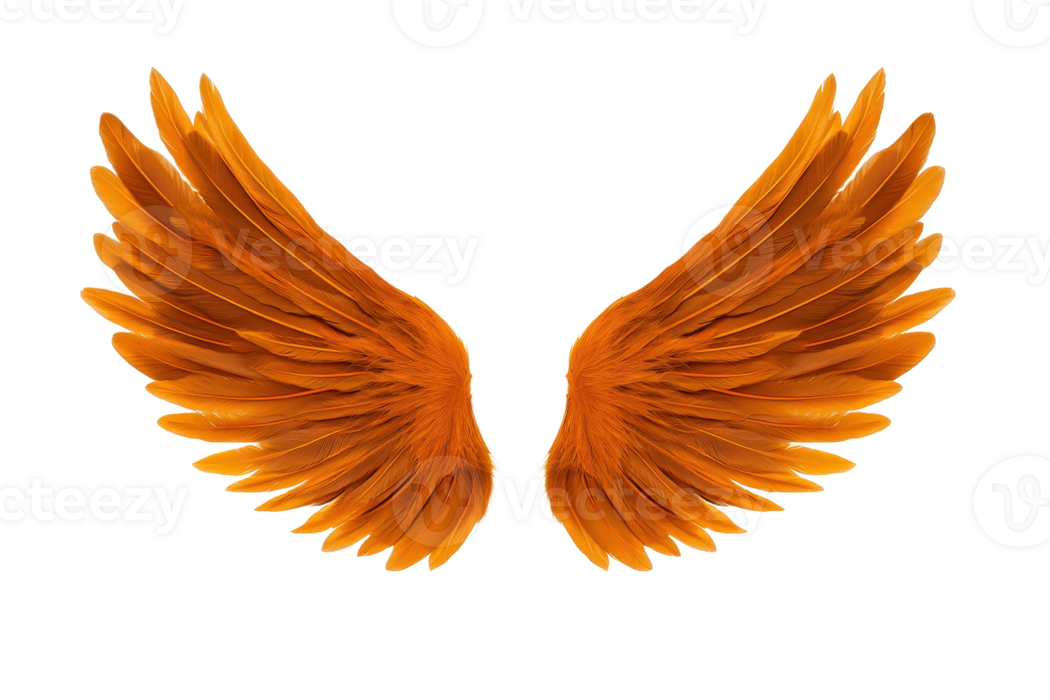 An Orange angel wings with detailed feathers on transparent background png