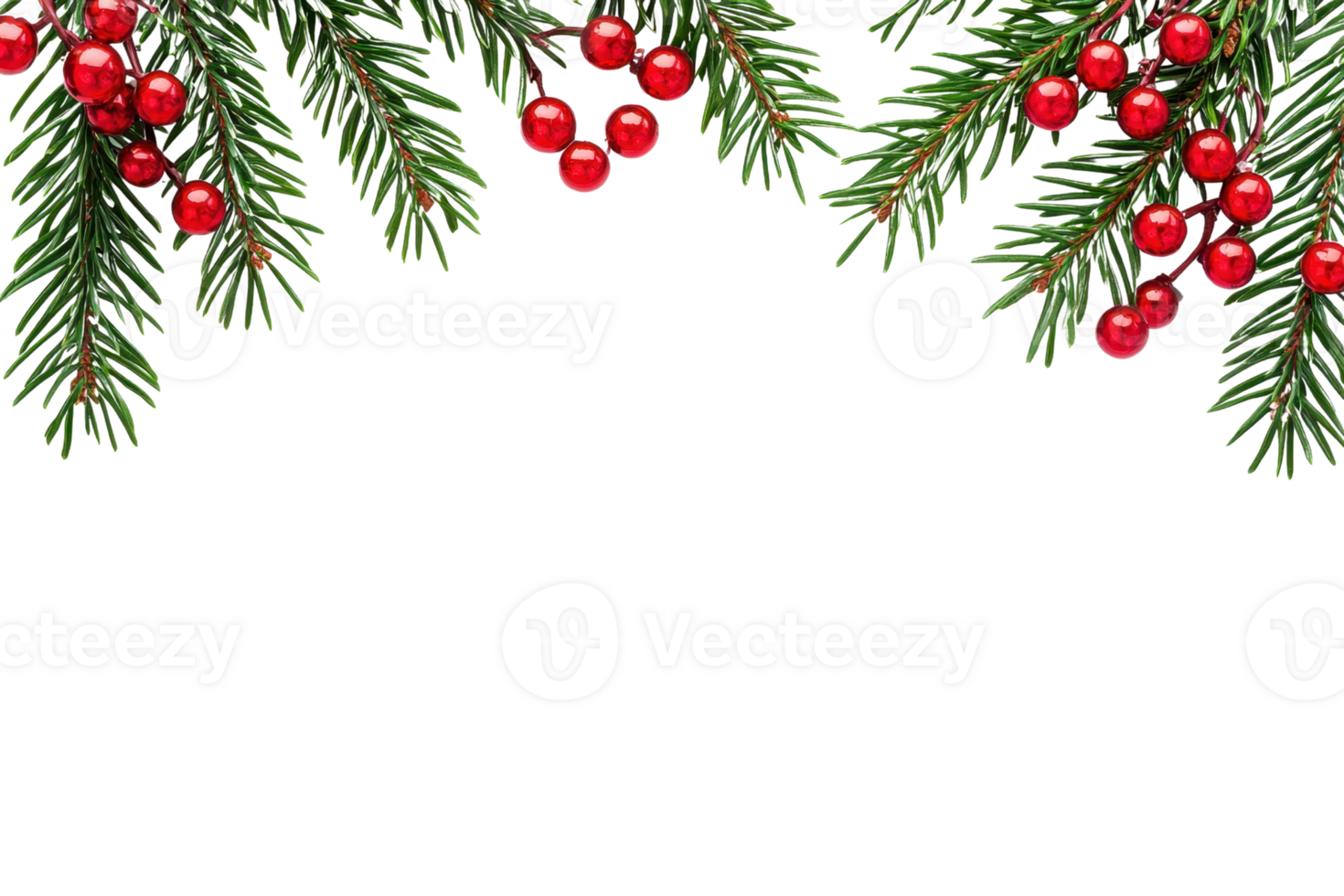 A Festive evergreen branches adorned with vibrant red berries create cheerful holiday atmosphere. lush green foliage contrasts beautifully with bright berries, evoking sense of warmth and png