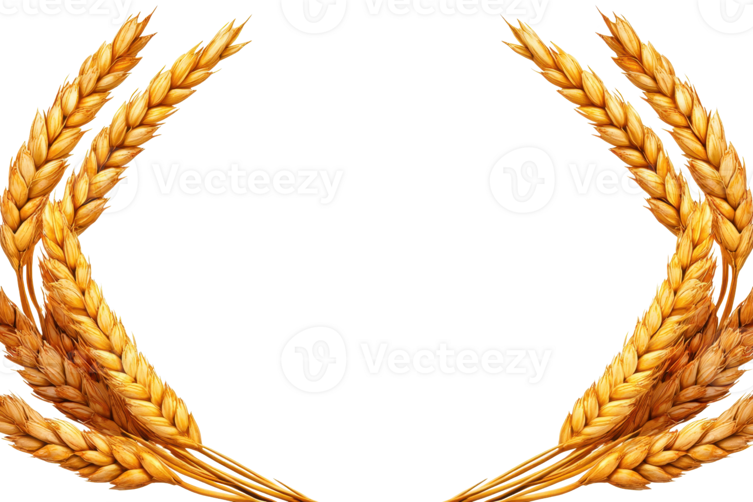 A Golden wheat ears form symmetrical laurel wreath, symbolizing prosperity and abundance. detailed illustration showcases natural beauty and texture of wheat, creating sense of elegance and png
