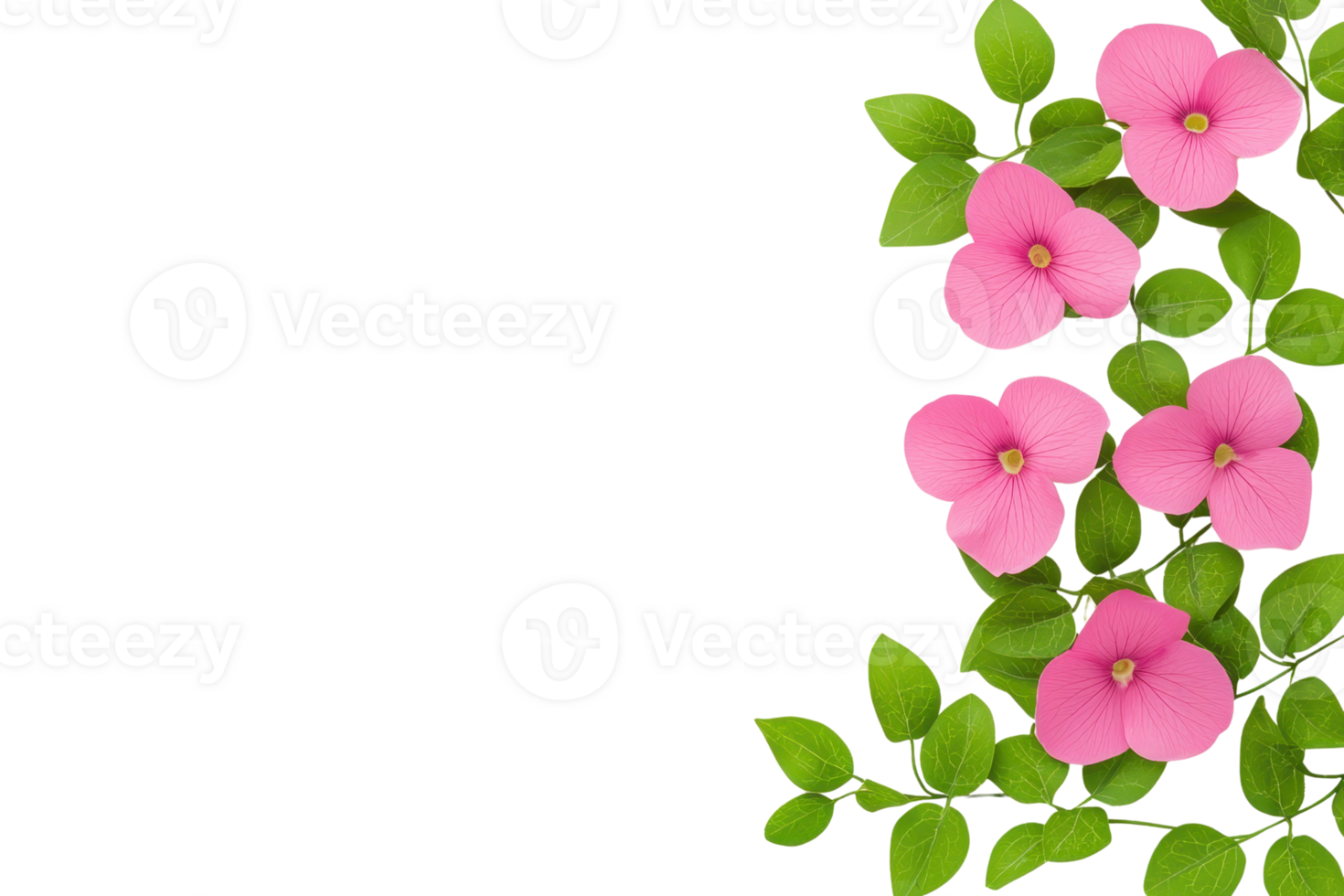 A Pink hibiscus flowers with vibrant green leaves on transparency background create striking contrast, perfect for floral designs png