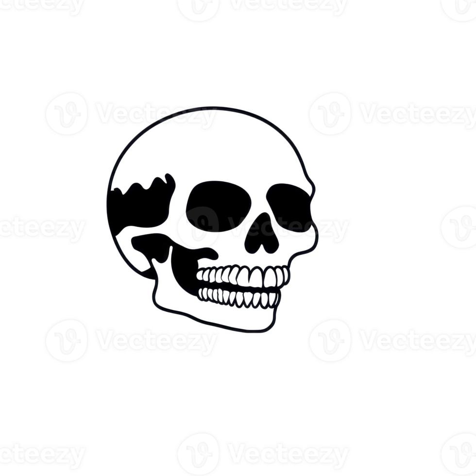A detailed black and white illustration of human skull, showcasing intricate bone structure and teeth, set against plain background. image evokes sense of mystery and intrigue png