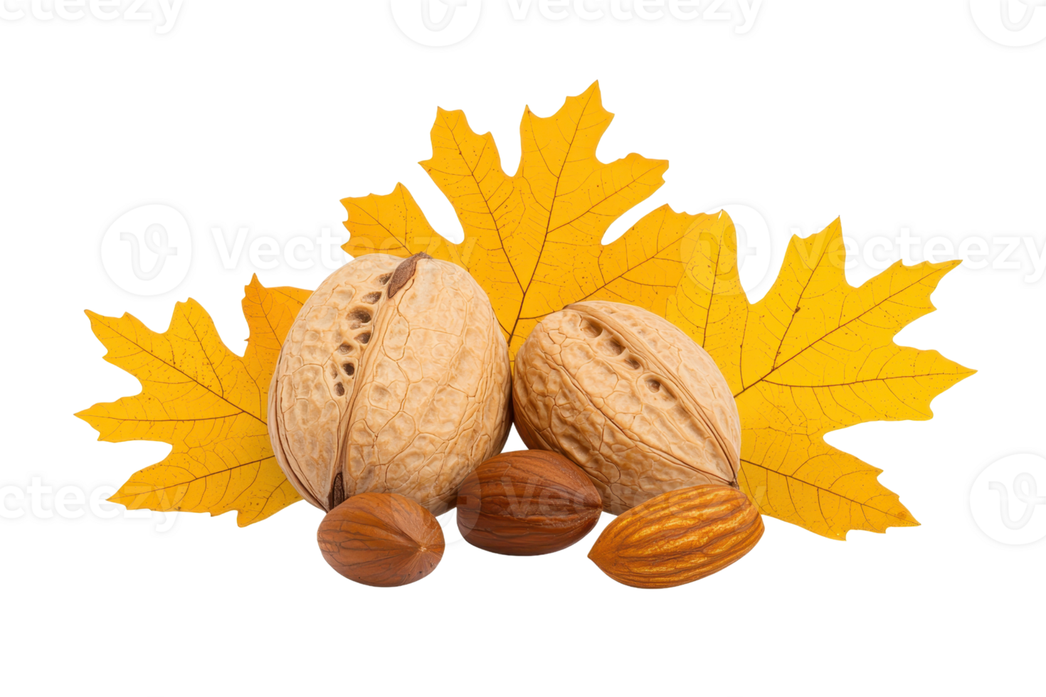A Two whole walnuts and almonds are placed front of vibrant yellow autumn leaves, creating seasonal and natural display. composition highlights textures and colors of nuts and leaves, evoking sense png