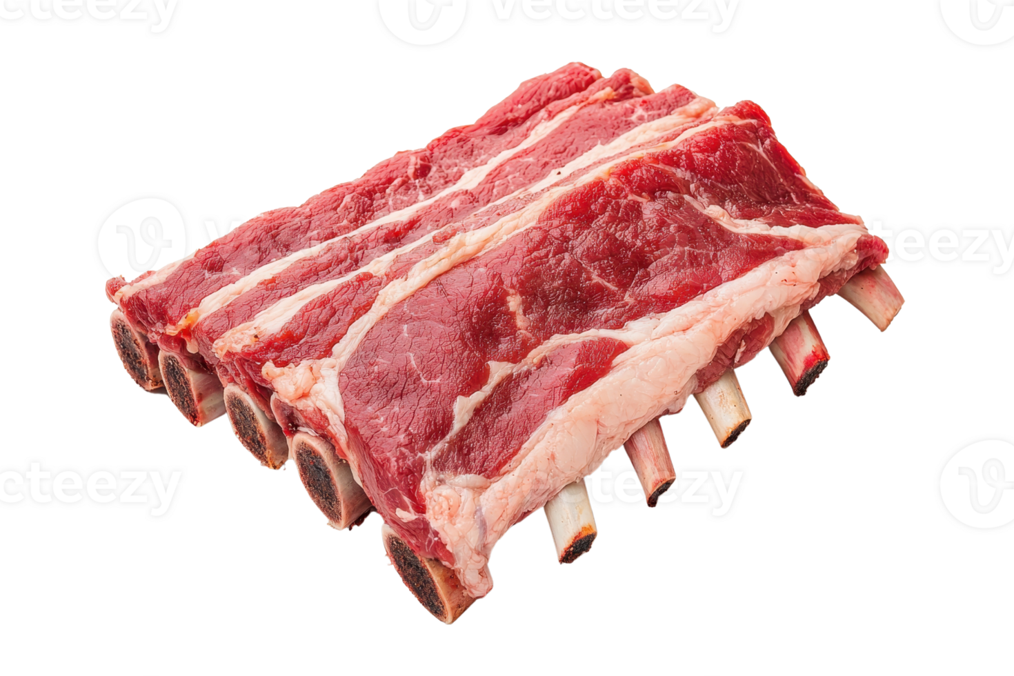 A raw rack of beef ribs with visible marbling and bone structure, ready for cooking or grilling. meat appears fresh and is displayed on transparency background, highlighting its texture and color png