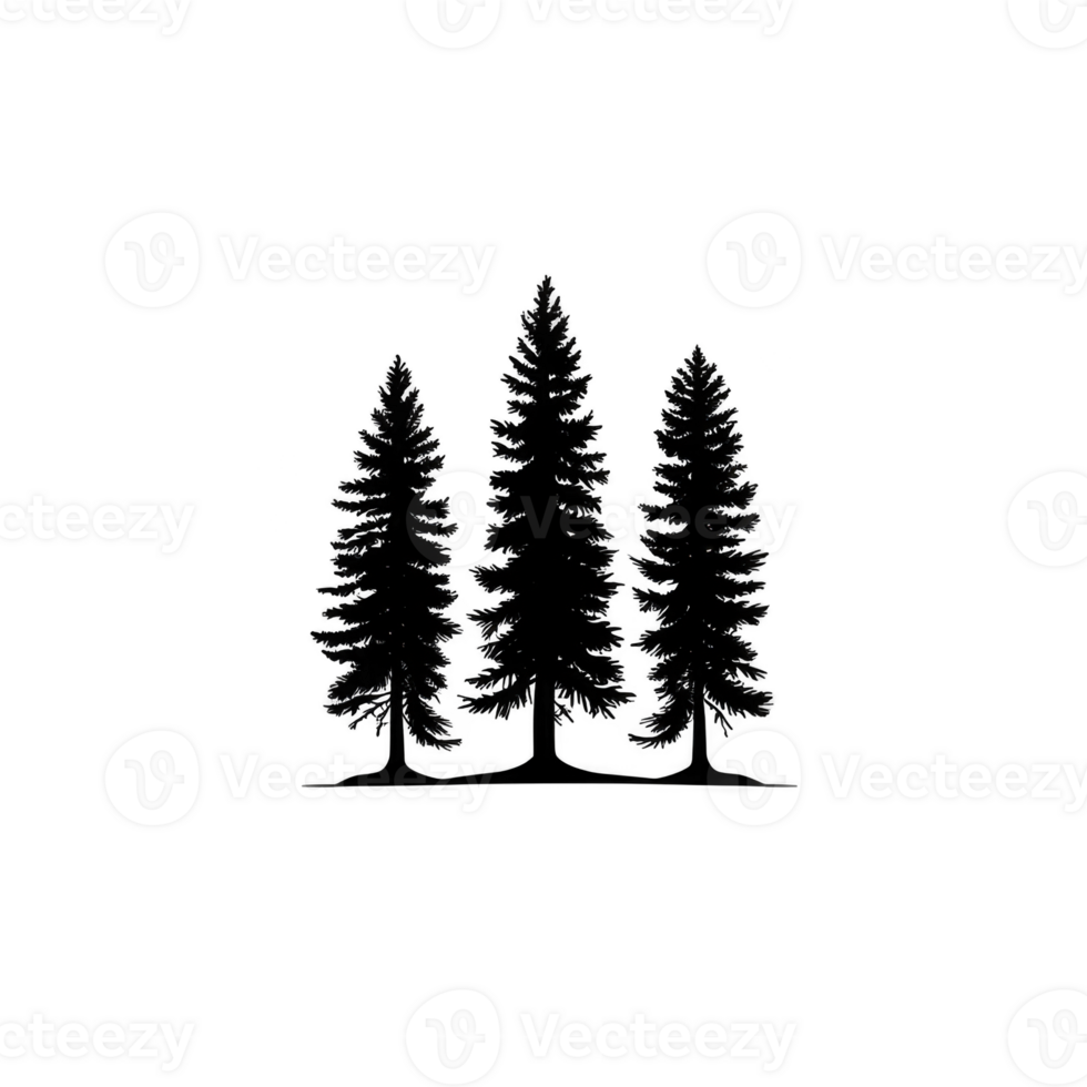 A Three tall pine trees are illustrated in minimalist style, standing closely together against plain background. simple design evokes sense of tranquility and nature png