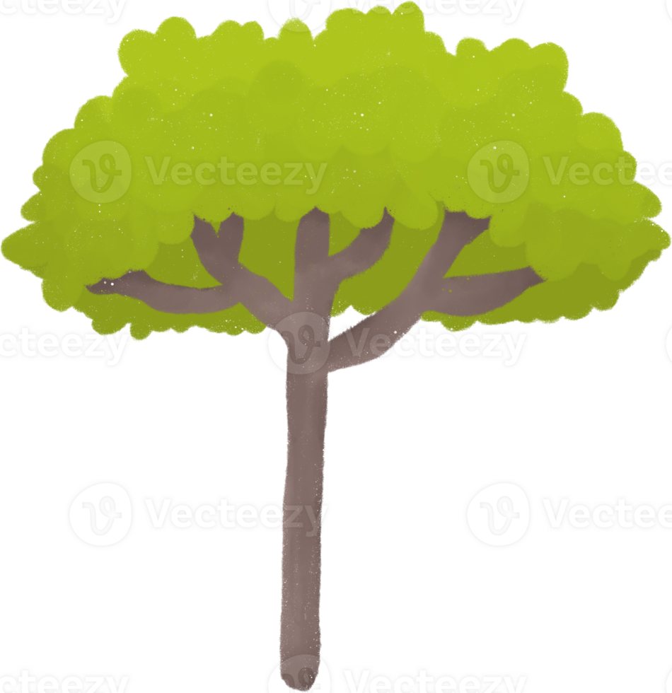 A cartoonish tree with a brown trunk and a broad light green crown sits on a transparent background. Numerous branches extend from the trunk to support a mass of fully arched leaves. png