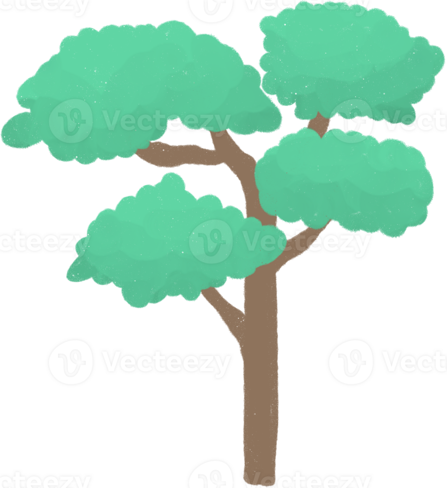 A cartoon style tree with a brown trunk and multiple clusters of green leaves sits on a transparent background. The canopy is divided into four distinct curved sections. png