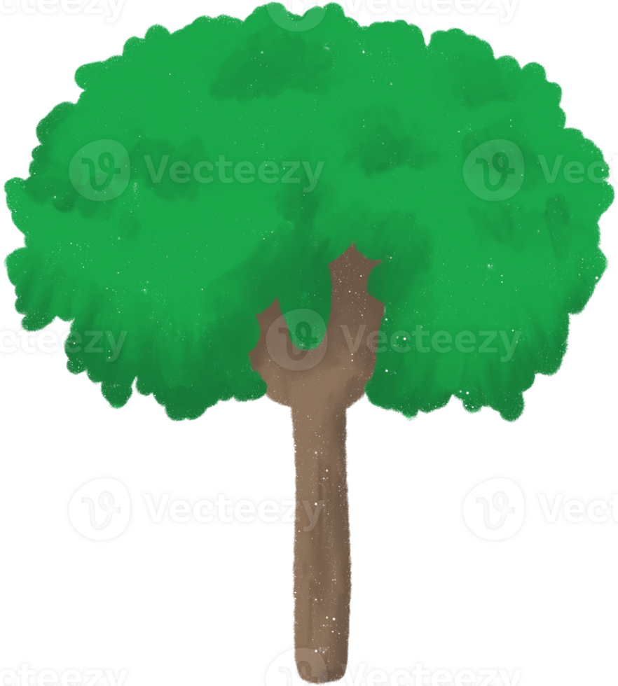 Cartoon deciduous tree with thick brown trunk and full round green crown on transparent background. Leaves are dense green mass with slight texture. png