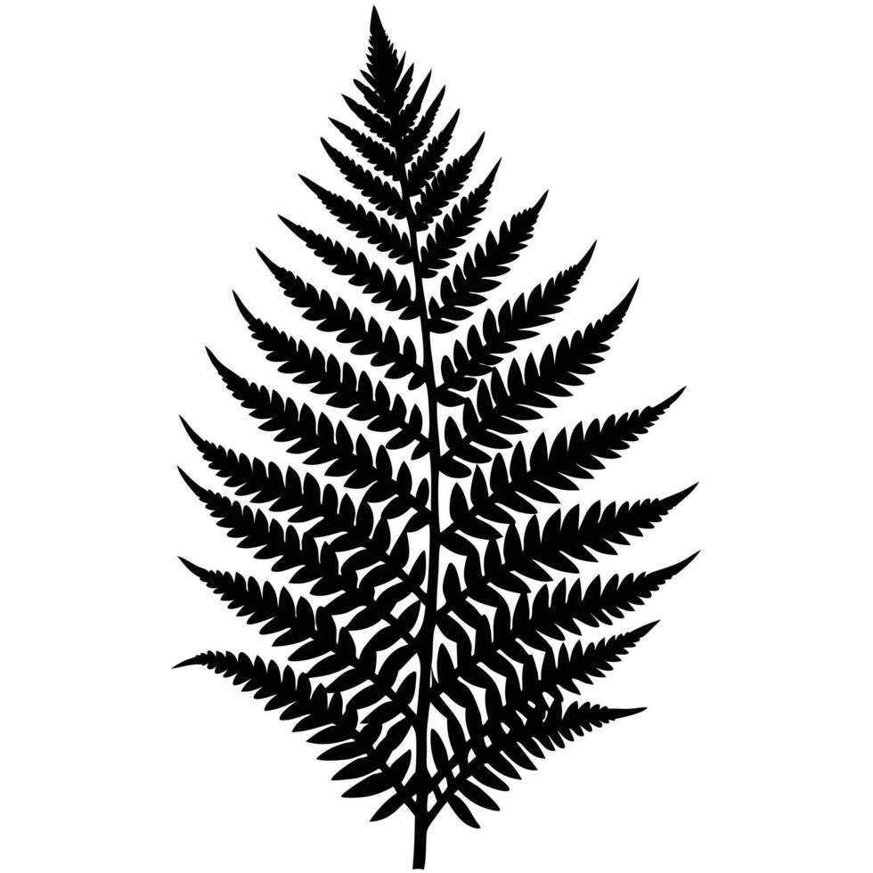 A black and white silhouette of a fern leaf vector