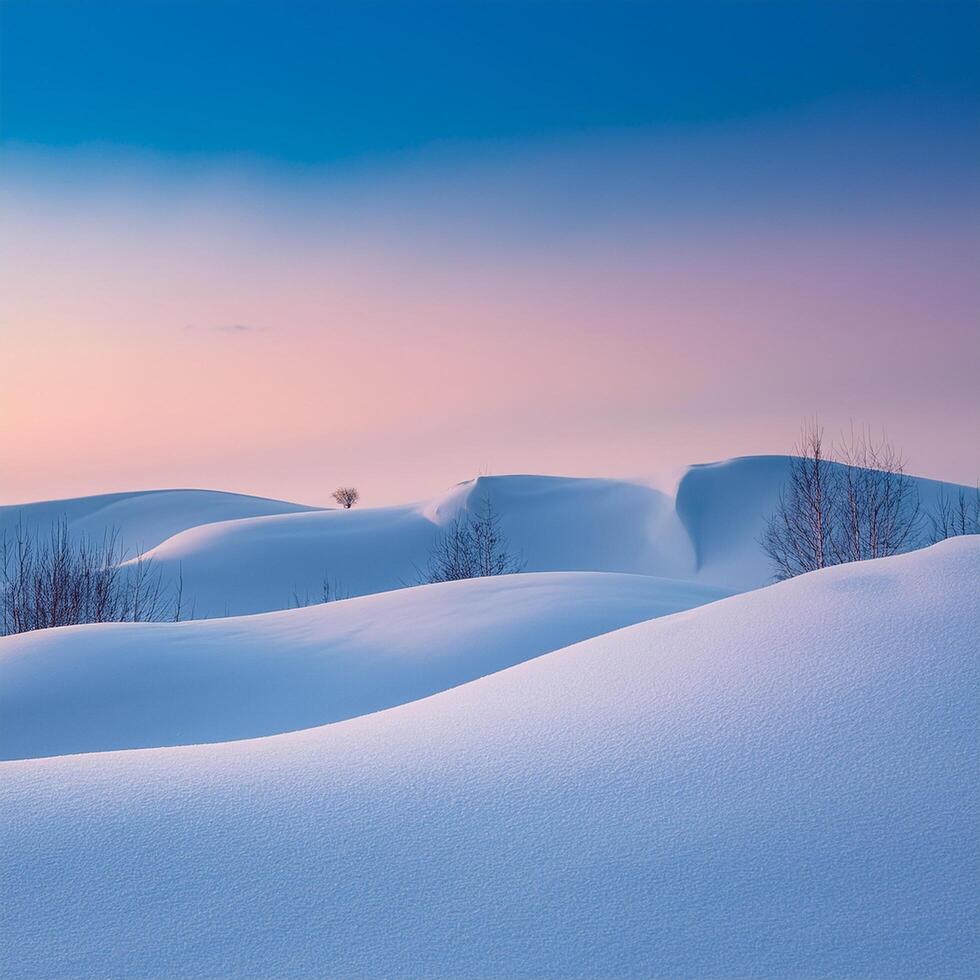 A lone tree stands in the middle of a snow covered field photo