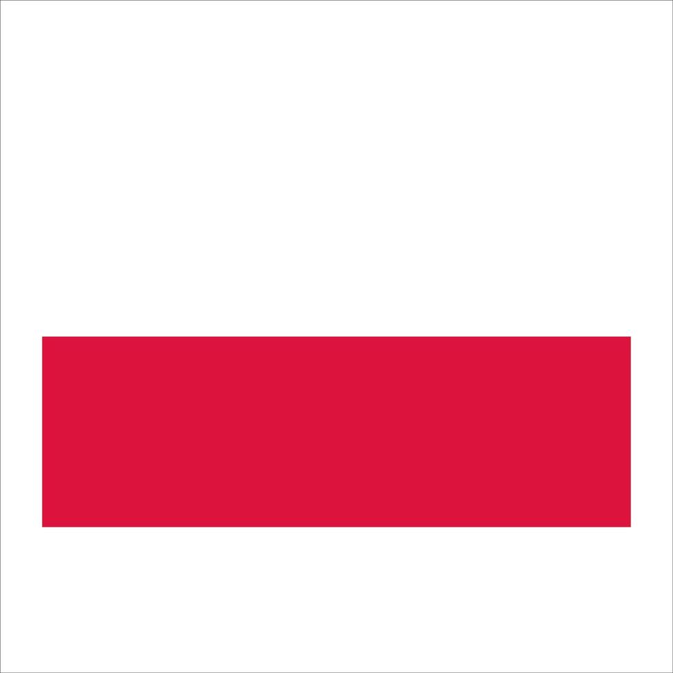 The flag of poland vector
