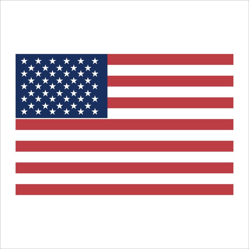 The american flag on a white background vector