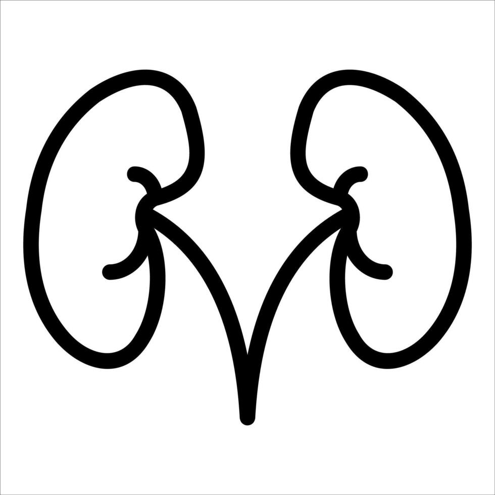 A kidney icon on a white background vector