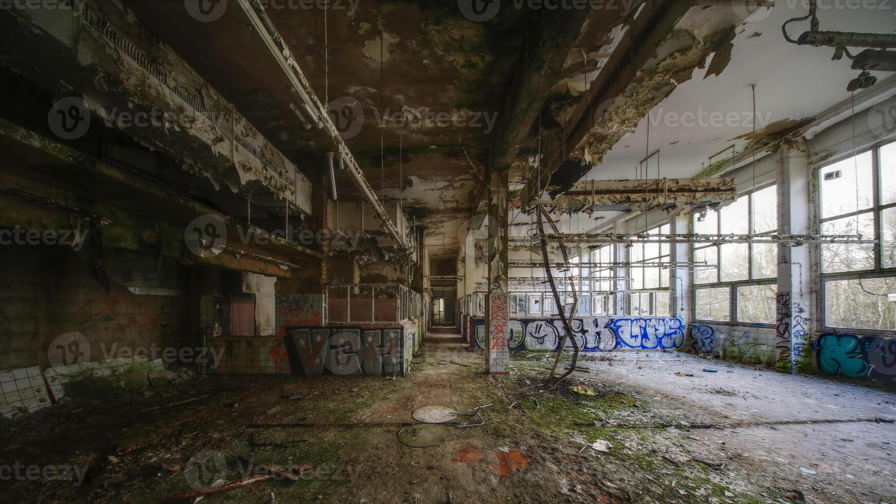 Abandoned industrial space with decayed walls, graffiti, and overgrown floor in a ruined factory photo