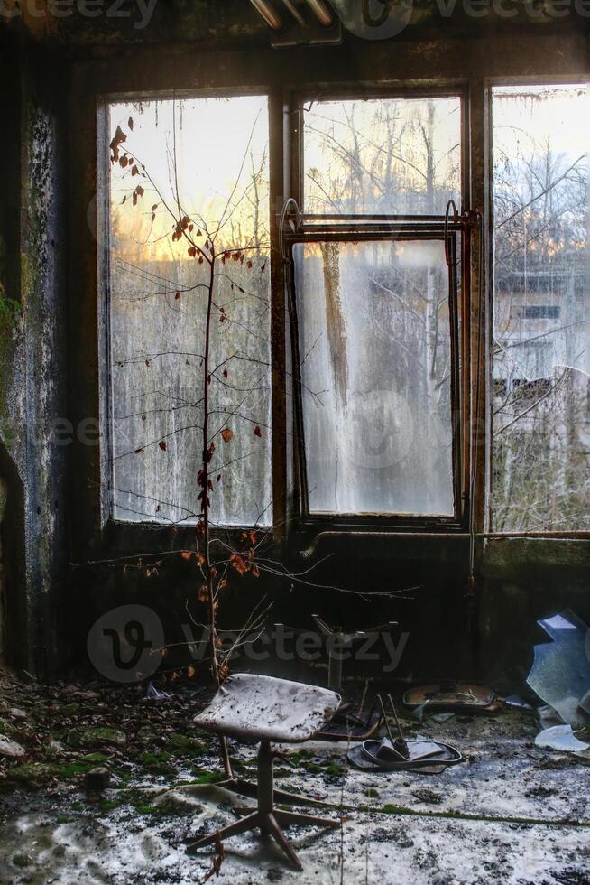 Overgrown abandoned room with a broken chair, shattered glass, and plants growing through the decay photo