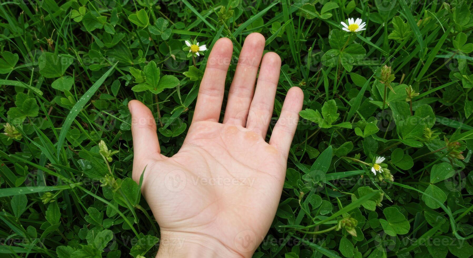 Close up of a fair skinned hand resting on a vibrant green field of clover and grass, with small white flowers adding a touch of natural beauty. photo